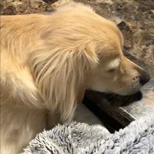 Meet your Posher, Joshua